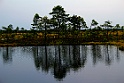 Nationalpark Soomaa (Estland)